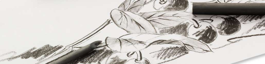 Craies et fusains d' art