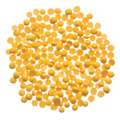 Cire de couleur pour décorer en pastille GLOREX, paquet de 5 g, jaune