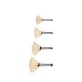 Brosse éventail Winton, 1, 30