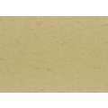 Papier peau d'éléphant Ursus - 50x70cm - 110g/m² , 50 x 70 cm, quantité minimale 3 feuilles, Beige