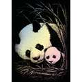 Mini-carte à gratter dessin, Panda, folio holographique