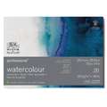Carton aquarelle Professional™ WINSOR & NEWTON™ 100% coton, 25,4 cm x 35,6 cm, torchon, 300 g/m², Bloc de 20 feuilles