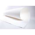 Carton aquarelle Professional™ WINSOR & NEWTON™ 100% coton, 56 cm x 76 cm, fin, 300 g/m², A l´unité