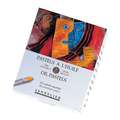 SENNELIER coffret de pastels à l'huile, 24 pastels, couleurs assorties, Set