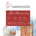 HAHNEMÜHLE 