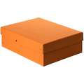 FALKEN Purebox Archivbox, 21 cm x 29,7 cm, DIN A4, Pastell Orange, Höhe 10 cm