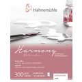 Hahnemühle Harmony Watercolour Aquarellpapier, matt, 8 cm x 10,5 cm, 300 g/m², Block (vierseitig geleimt)
