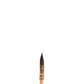Pinceaux Lavis pointe ronde Winsor et Newton, 000