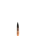 Pinceaux Lavis pointe ronde Winsor et Newton, 00