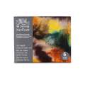 Coffret Professional d'aquarelle Winsor & Newton, Terres riches