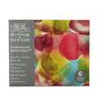 Coffret Professional d'aquarelle Winsor & Newton, Méditation