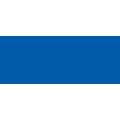 BIC® Marking™ 2000 Permanent Marker, Permanent Marker, Blau