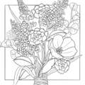 morepic-4
