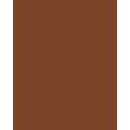 Papier de couleur Folia, 300g/qm, 50 x 70 cm, Brun chocolat