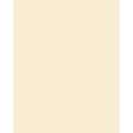 Papier de couleur Folia, 300g/qm, 50 x 70 cm, Beige