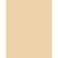 Papier de couleur Folia, 300g/qm, 50 x 70 cm, Chamois