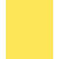Papier de couleur Folia, 300g/qm, 50 x 70 cm, Jaune citron