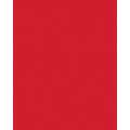 FOLIA® Fotokarton, 300g/qm, 50 x 70 cm, Hochrot