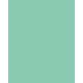 Papier de couleur Folia, 300g/qm, 50 x 70 cm, Menthe