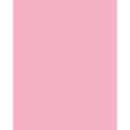 FOLIA® Fotokarton, 300g/qm, 50 x 70 cm, Rosa