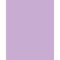 Papier de couleur Folia, 300g/qm, 50 x 70 cm, Violet