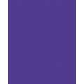 Papier de couleur Folia, 300g/qm, 50 x 70 cm, Violet foncé