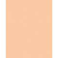 Papier de couleur Folia, 300g/qm, 50 x 70 cm, Abricot