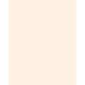 Papier de couleur Folia, 300g/qm, 50 x 70 cm, Beige clair