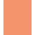 Papier de couleur Folia, 300g/qm, 50 x 70 cm, Saumon