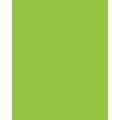 Papier de couleur Folia, 300g/qm, 50 x 70 cm, Vert de mai
