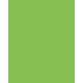Papier de couleur Folia, 300g/qm, 50 x 70 cm, Vert clair