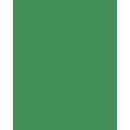 Papier de couleur Folia, 300g/qm, 50 x 70 cm, Vert mousse
