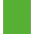 Papier de couleur Folia, 300g/qm, 50 x 70 cm, Vert herbe