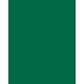 Papier de couleur Folia, 300g/qm, 50 x 70 cm, Vert sapin
