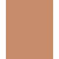 Papier de couleur Folia, 300g/qm, 50 x 70 cm, Brun clair