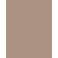 Papier de couleur Folia, 300g/qm, 50 x 70 cm, Cappucino