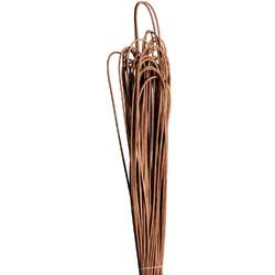 Peddigrohr langfallend