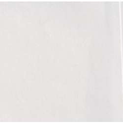 Papier blanc pur Tosa Shi