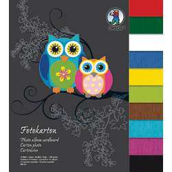 Bloc carton photo URSUS®