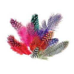 Sachet de plumes naturelles