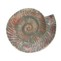 Moule pour béton forme escargot ammonite