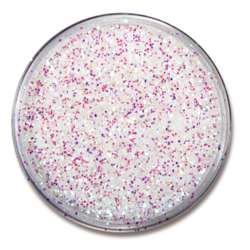 EULENSPIEGEL™ Polyester-Streuglitter