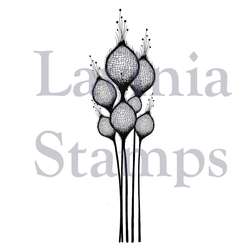 Lavinia Stempel, Fairy Thistles