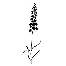 Lavinia Stempel, Bluebells