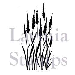Lavinia Stempel, Meadow Grass