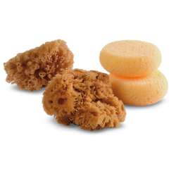 Lot de 4 éponges synthétiques/naturelles Royal & Langnickel