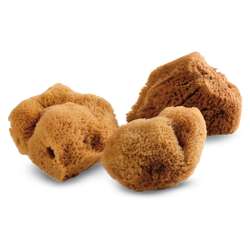 Eponges naturelles en soie