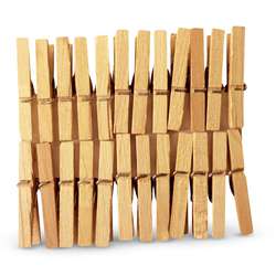 Lot de 24 pinces à linge de DTM