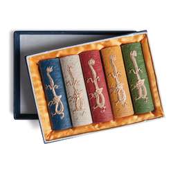 Coffret d'encre de Chine de couleur Nanjing
