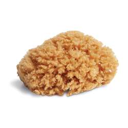 Eponge naturelle des Caraïbes Royal & Langnickel